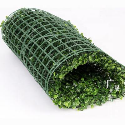 China Eco-friendly Grass Roll Packing Plastic Artificial Boxwood Hedge Panel Mat Green Wall Decoration for sale