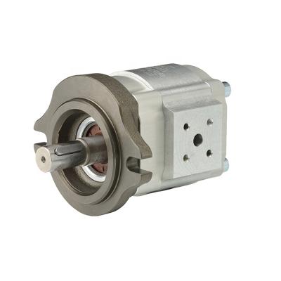 China ECKERLE EIPS2-022RA04-12 S111 Electric High Oil Gear Pump Oil Pressure for sale