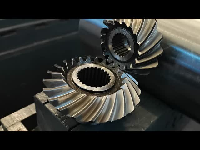 OEM Service Steel Worm Gear Used In Industrial Machinery High Strength