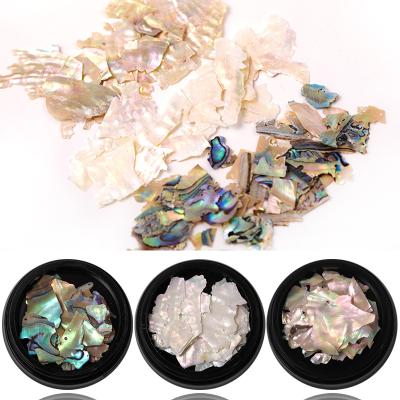 China Environmental protection shell ornamental nail shell ornament abalone shell fragment white freshwater nail for sale