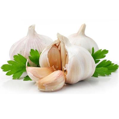 China fresh fresh fresh garlic, white garlic for sale