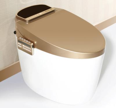 China Auto Operation HHSN High End Smart Automatic Intelligent Closet Toilet for sale