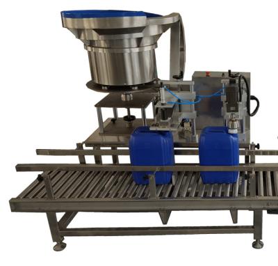 China Programmable Automatic Capping Machine 5L 10L Bottle Capper for sale