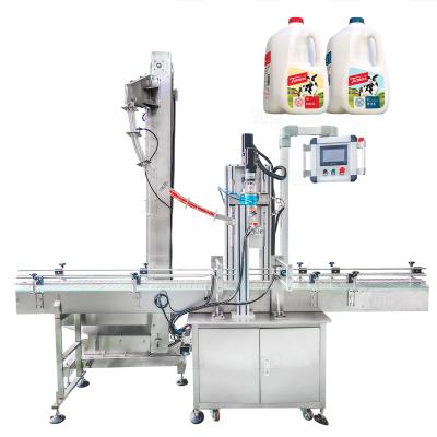 Cina Plastic HDPE Milk Bottle Screw Capper Pneumatic Pressure Lock Screwing Capping Machine in vendita