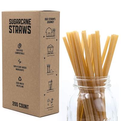 China 6/8/12MM Eco-Friendly Compostable Biodegradable Sugar Cane Biodegradable Bagasse Drinking Straw For Coffee for sale