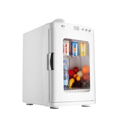 China Portable Plastic Mini Fridge 25 Liter AC/DC Beauty Refrigerator For Bedroom And Skin Care Travel for sale