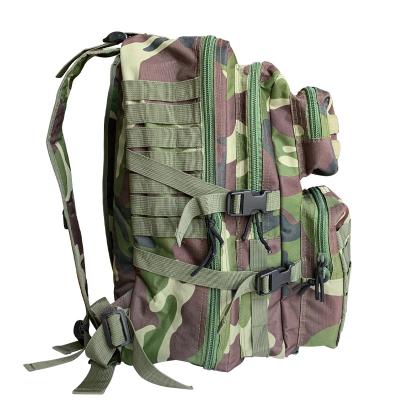 China Hard Handle Waterproof Multi-Function Training Sport Bag for Outdoor Hiking Durable for sale