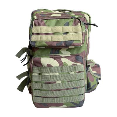 China Outdoor Hiking Multi-Function Sport Bag with Carrying System Physiological Curve Back for sale