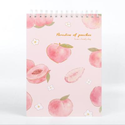 China Gold Foil Stamping Joytop 4309 Custom Printed Cute Peach Paradise A3 Kids Spiral Notebook for Drawing for sale