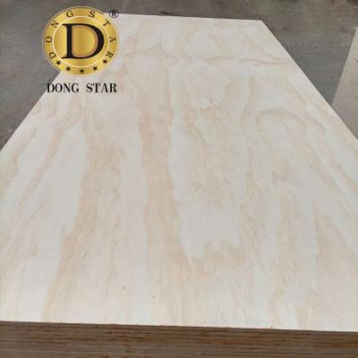 China Modern Pine Structure Plywood C/C CD Grade Poplar Hardwood Combi Basement Plywood 4X8 for sale