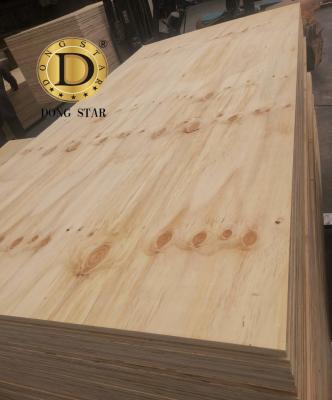 China Factory supply modern paulownia pine fir cheaper plywood for sale