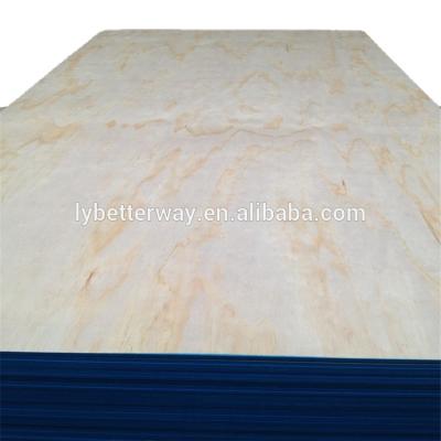 China Modern structural pine plywood and structural pino trilay and plywood for sale