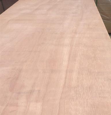 China Maderas Triplay tropical okoumeBB/CC /bintangor a/c modern grade plywood for sale