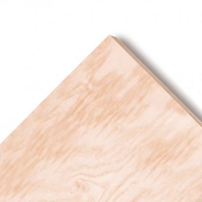 China Modern High Quality Glue Powder Canadian Birch Eucalyptus Plywood Sheet 9mm for sale