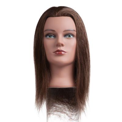 China Free ship Salon use practice doll in USA good quality soft soft hair texture hair practice doll straight head for training for sale