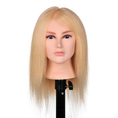 China Silky Straight Wave Free Ship In USA 613# Training Head Hair Training Mannequin Head Blonde 100% For Hair Salon Practice for sale