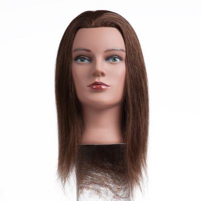 China Can Be Factory Straightened Price12~26 Inch Russia Raw Hair Mannequin Training Head For Black Women for sale