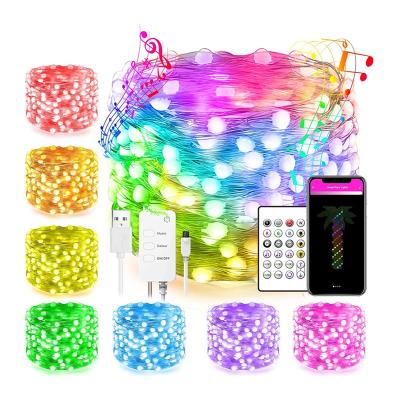 China High Brightness Wholesale RGB CCT WIFI BLE Remote Control Home Lighting Copper Wire 5V Multi Colors String Lights Smart Alexa Google Home for sale