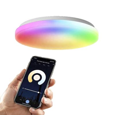 China Outdoor Mounted Energy Saving Voice Control Google Assistant Alexa RGB TDC Color Changing Smart Led Ceiling Light Lamp 20W for sale