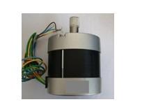 China BLDC-Motor (80BLY3A120) zu verkaufen