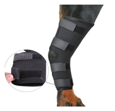 China Amazon Adjustable Breathable Hot Selling Elasticity Hedgehog Canine Wraps Sue Back Leg Braces For Injury And Sprain Protection for sale