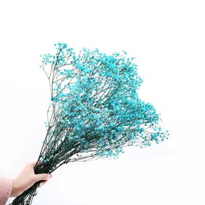 China Hotel home decoration Nordic style home decoration preserved Valentine's Day decoration used by Gypsophila and wedding for sale