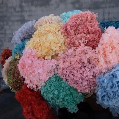 China Wedding Home Wall Decoration 2022 Hot Seller Preserved Hydrangea For Home Decoration And Weddings for sale