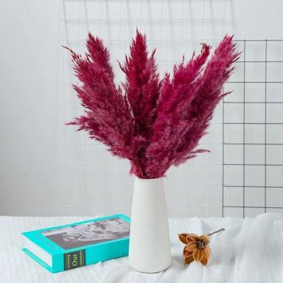 China HEN Decorative Pcs Color Plants Original Material Type Pampas Decoration Weding Flower Home Dry Party Wedding Decoration Preserved Real Garlands for sale