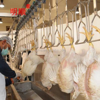 China High Quality POULTRY Birds Slaughter Production Line / Halal Chicken Slaughtering Machinery for sale