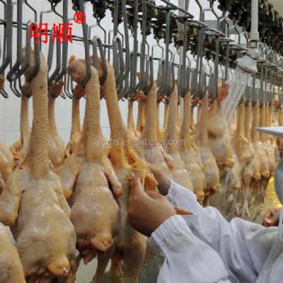 China Halal POULTRY Chicken Slaughtering and Slaughterhouse Machine Line for Chicken Boiler Farm for sale