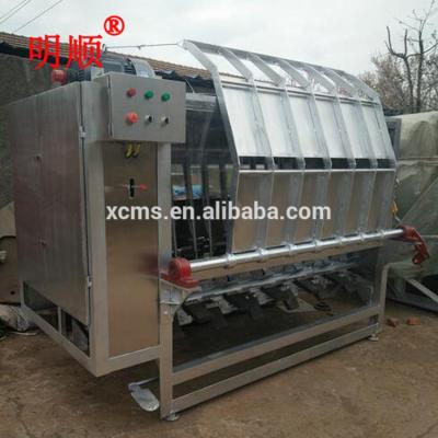 China POULTRY pig dehairing machine line/slaughtering machine for pig/pig hair removal machine for sale