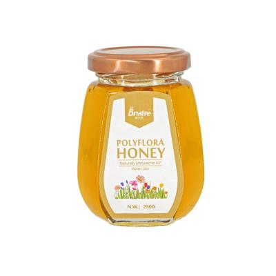 China 100% Honey Popular 250g Natural Pure Natural Polyflora Honey Comb Royal Honey Bee Glass Jar 100% Organic White Honey for sale