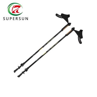 China Cork Handle Carbon Fiber Outdoor Durable Two-Piece Canes for sale