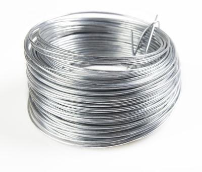 China Binding Wire Produce Reasonable Price Manufacturer Produce Good Quality Galvanized Wire for sale