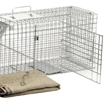 China Rail Galvanized Quality Rabbits Racks Raccoons And More Animal Folding Trap for sale