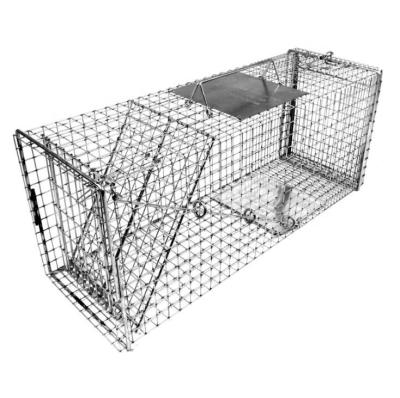 China Fence Wholesale Quality Rabbits Boils Raccoons And More Animal Folding Trap for sale