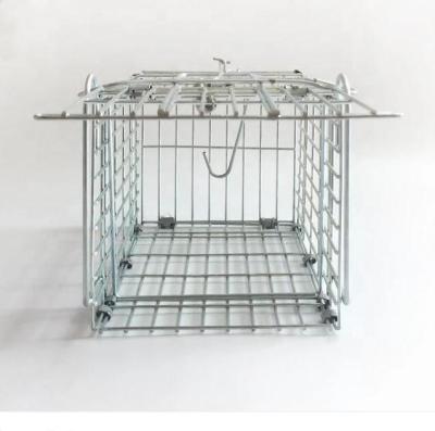 China Fence Manufacturer Product Quality Rabbits Boils Raccoons And More Animal Folding Trap for sale