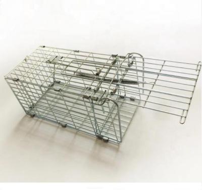 China Manufacturer Product Folding Fence And Trap More Animal Rabbits Squirrels Raccoons for sale