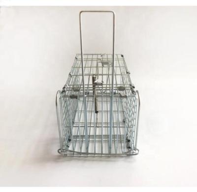 China Fence Factory Product Rabbits Squirrels Raccoons And More Animal Folding Trap for sale