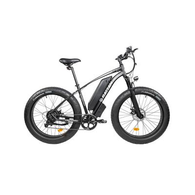 China New type rattan steerer snow tire emtb 750W good price multifunctional fat tire bicycle for sale