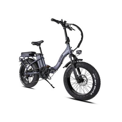 China High quality 750W I-PAS 500W multifunctional rattan for women folding ebike vintage for sale for sale