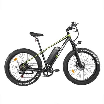 China Retro multifunctional electric bicycle 48v 750w mountain electric ebike MTB bike manufacturer from china for sale