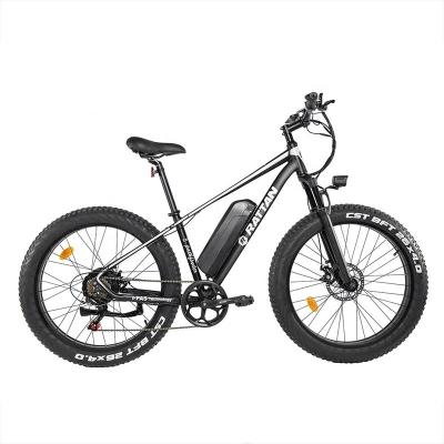 China Ebike 2022 Aluminum Alloy Rattan Steerer Electric Fat Mountain Bike 48V 750W Electric Bike Mountain For Sale for sale