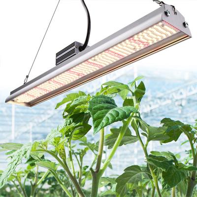 China Free Shipping SINJIAlight Seed Starting Pre-assembled Full Spectrum 260W Led Grow Light For Growers And Retailers for sale