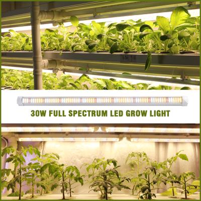 China Seed Starting Sinjialight 0.6m 30W Warm White T8 Led Grow Tube Hydroponics Vertical Growing Plant Light for sale