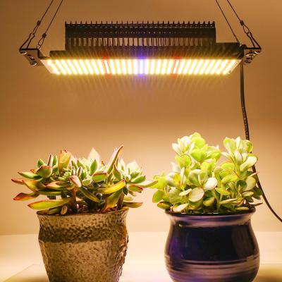 China Seed Starting SINJIAlight 300W Warm Full Spectrum Led Grow Light For Growing Indoor Plants for sale