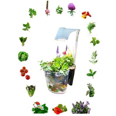 China Seed Starting New 5 Professionals In Herbs 1 Indoor Vegetables Flower Gardening Ecosystem for sale