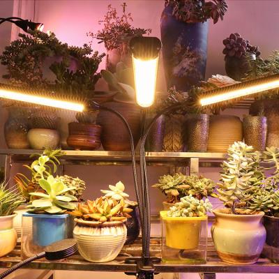 China Seed Starting Newest SINJIAlight 150W 3 Head Led Grow Light Bulb For Indoor Plants Super Bright Full Spectrum Sunlike Desk Grow Lamp White for sale