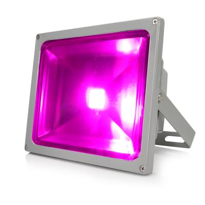 China Seed starting SINJIA 10W 20W 30W 50W IP65 integrated flood led grow light of ZW0031/0032/0033/0034 for sale