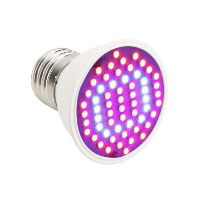 China Seed Starting Led Plant Light Sinjia 6W 60 LED E27 Small Size Grow Light Bulb ZW0110 for sale